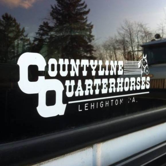 Meet your Posher, Pam - Picture 1 of 1